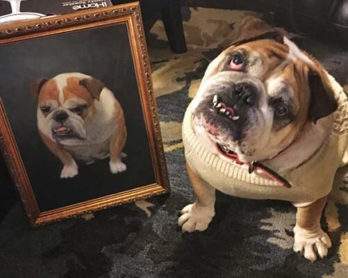 1a5_1487666103022117 Custom hand painted pet portrait for dog