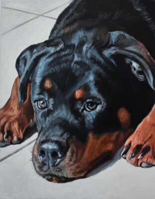 8a42_1542117373111318 custom hand painted pet portrait for dog