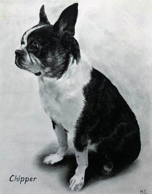 8a42_1542804392112118 custom hand painted pet portrait for dog