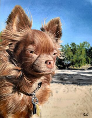 8a42_1562009381070119 custom hand painted pet portrait for dog
