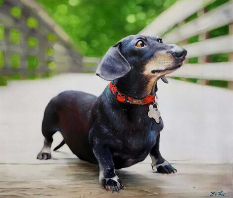 8e71_1513342296121517 custom hand painted pet portrait for dog