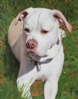 a452_14 custom dog portrait painting