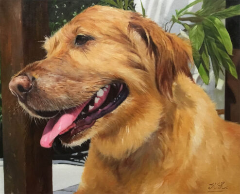 a452_19 custom dog portrait painting