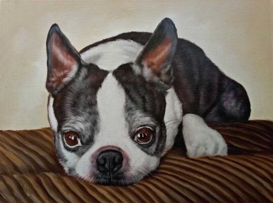 a452_3 custom dog portrait painting